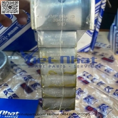 Bạc balie std 6d114 6CT8.3 QSC8.3 8.9 QSL9 KIT, MAIN BEARING - STANDARD 6742-01-5199 3944163 3944153 3944158