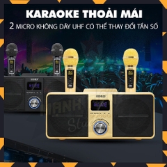 Loa bluetooth karaoke SDRD SD-309 kèm 2 micro không dây chính hãng [BH 6 Tháng]