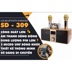 Loa bluetooth karaoke SDRD SD-309 kèm 2 micro không dây chính hãng [BH 6 Tháng]