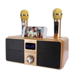 Loa bluetooth karaoke SDRD SD-309 kèm 2 micro không dây chính hãng [BH 6 Tháng]