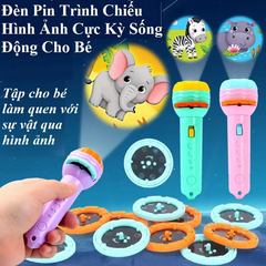 Đèn pin chiếu hình 3D full box kèm 10 thẻ 80 hình phát triển trí não cho bé