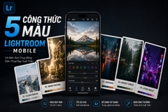 5 Công Thức Màu Lightroom Mobile Hô Biến Ảnh Chụp Bằng Điện Thoại Đẹp Xuất Thần
