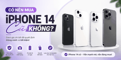 Có Nên Mua iPhone 14 Cũ Không? Đánh Giá Chi Tiết Trước Khi Xuống Tiền Năm 2026
