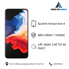 Ép kính Vsmart live 4