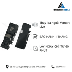 Thay loa ngoài Vsmart Live