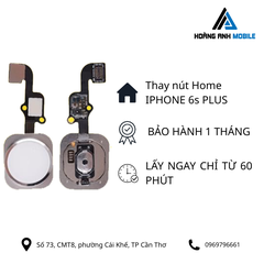 Thay nút home iPhone 6s Plus