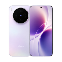Vivo X300s