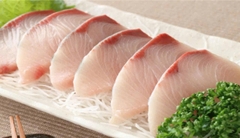CÁ CAM NHẬT BẢN