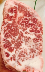 GÙ HOA BÒ ÚC