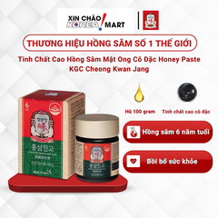 Tinh chất hồng sâm vị mật ong KGC Honey Paste 100g | 정관장 홍삼진고 100g