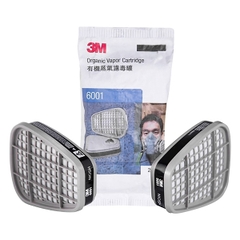 Phin Lọc Hơi Hữu Cơ 3M 6001
