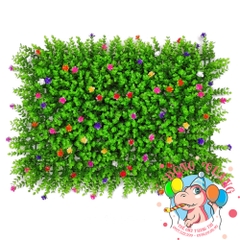 Thảm cỏ Tai chuột có hoa 40x60cm
