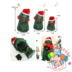 Cây thông nhảy múa