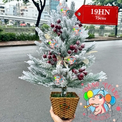 Cây thông mini cước đầu loa phủ tuyết trang trí