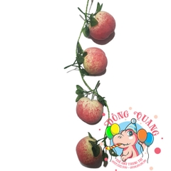 Trái Đào - dây - 4 trái