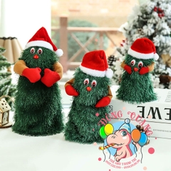 Cây thông nhảy múa