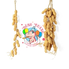 Lạc (đậu phộng) - dây