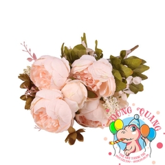 Hoa Mẫu đơn (Trang) - bụi - 6 bông - Trung Quốc