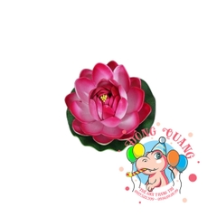 Hoa sen búp - thả nổi - 10cm