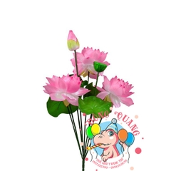 Hoa Sen vải - bụi - 3 bông 1 nụ