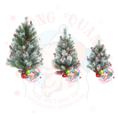 Cây thông mini 3 loại lá phủ tuyết gắn cherry