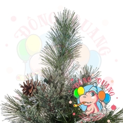 Cây thông 3 loại lá gắn trái thông