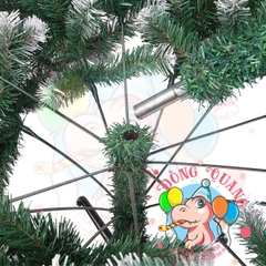 Cây thông 3 loại lá cherry