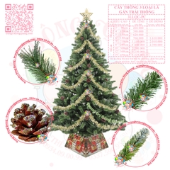 Cây thông 3 loại lá gắn trái thông