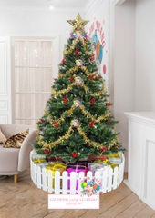 Cây thông 3 loại lá cherry