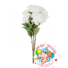 Hoa Mẫu đơn - bụi - 5 bông - Nhật