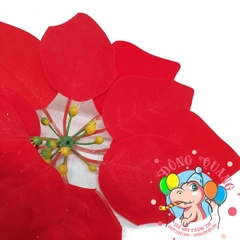 Hoa trạng nguyên 25cm (set 5/10)