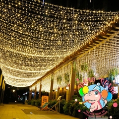 Dây đèn LED chớp tắt