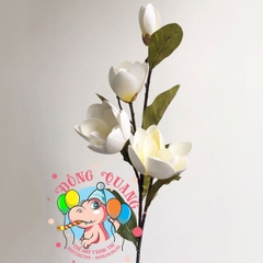 Hoa Ngọc lan (Mộc lan) - Cành - 3 bông, 1 nụ