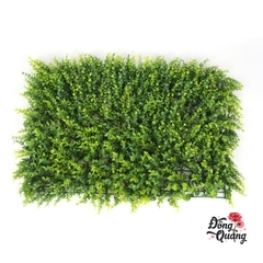 Thảm cỏ Tai chuột 40x60cm