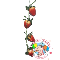 Trái Dâu - dây - 4 trái