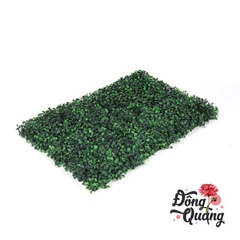 Thảm cỏ Cải xoong 40x60cm