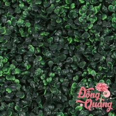 Thảm cỏ Cải xoong 40x60cm