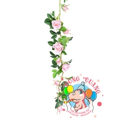 Hoa hồng - dây - 7 bông, 7 nụ