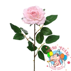 Hoa hồng - cành - 1 bông