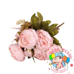 Hoa Mẫu đơn (Trang) - bụi - 6 bông - Trung Quốc