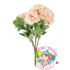 Hoa Mẫu đơn - bụi - 5 bông - Nhật