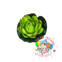 Hoa sen búp - thả nổi - 10cm