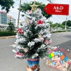 Cây thông mini phủ tuyết