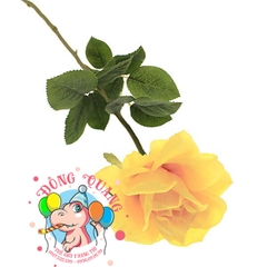 Hoa hồng - cành - 1 bông