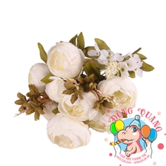 Hoa Mẫu đơn (Trang) - bụi - 6 bông - Trung Quốc