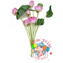 Hoa Sen Thái Lan - bụi - 4 bông 2 nụ