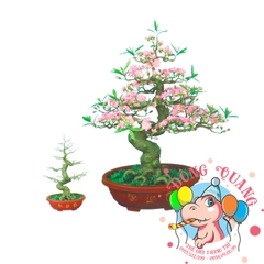 Cây đào bonsai 90cm