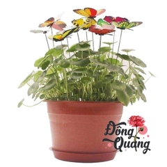 Bươm bướm giả trang trí