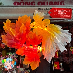 Cá chép vải voan lụa