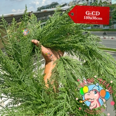 Dây trang trí lá PE nhuyễn